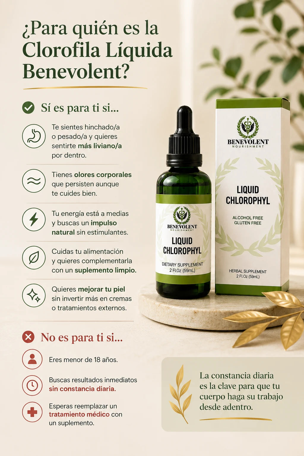 Clorofila Líquida Benevolent — producto de bienestar natural