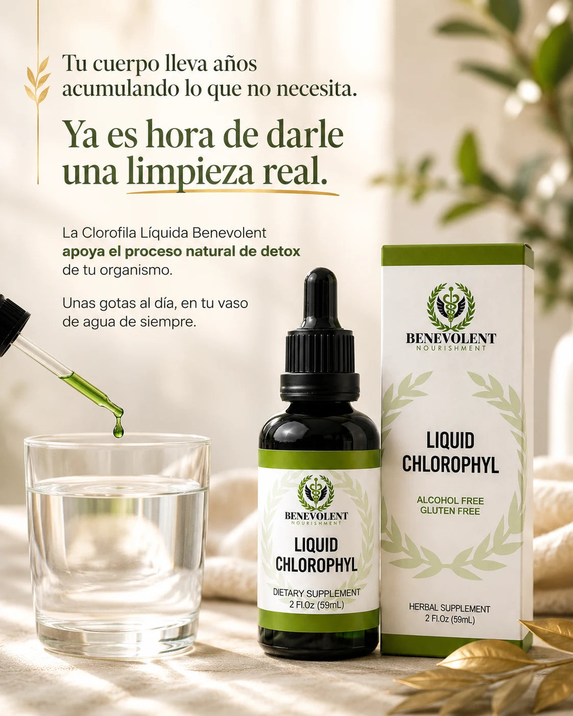 Benevolent — piel más fresca desde adentro con clorofila líquida